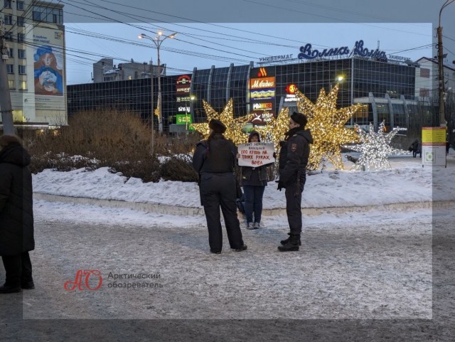 В Мурманске задержали девушку с плакатом про Навального