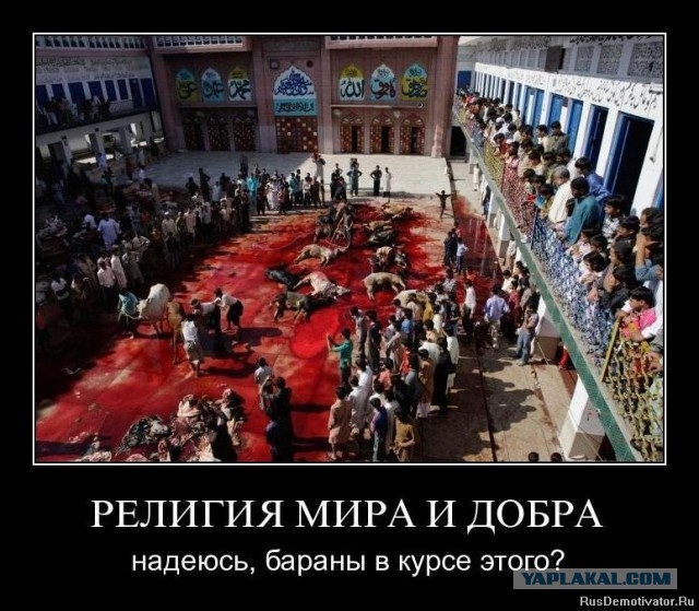 Хуситы, а кто они, кто знает? В свете последних событий так сказать.