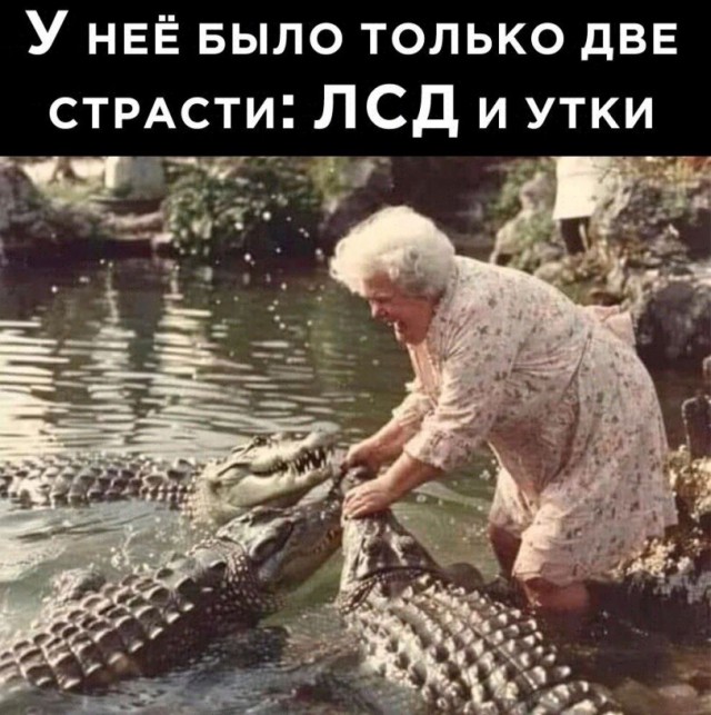 Нуштош 15.05.2024