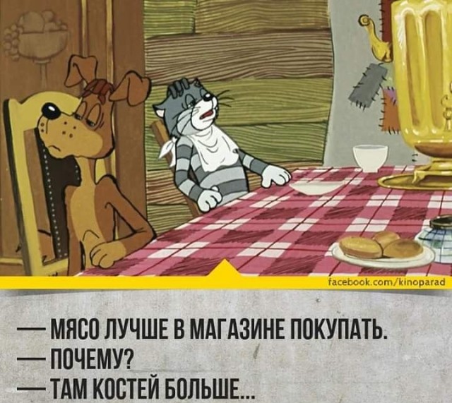 Котик кушает мяско. Вид снизу