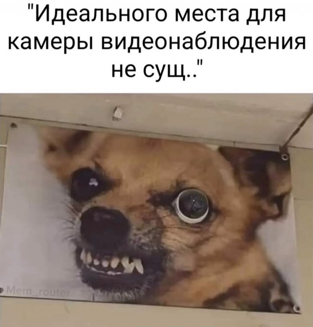 Наскрябыл немного. Часть 4