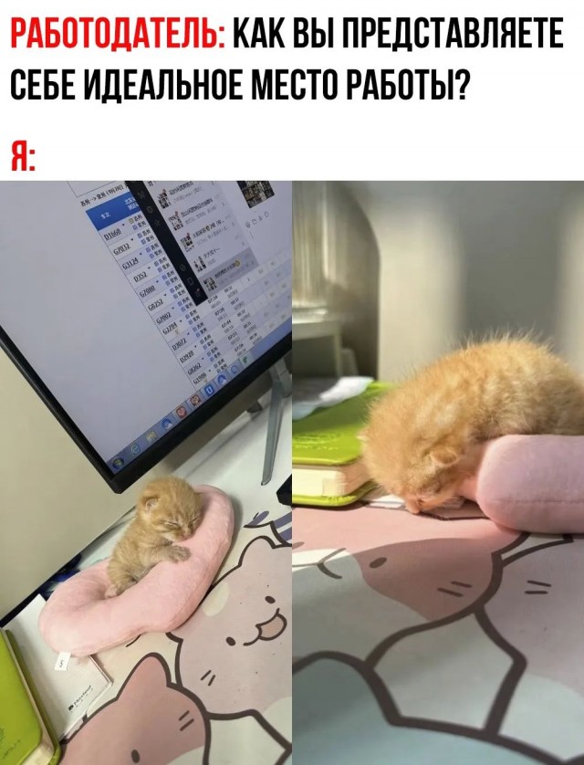 Завалялось тут случайно немного забавных картинок