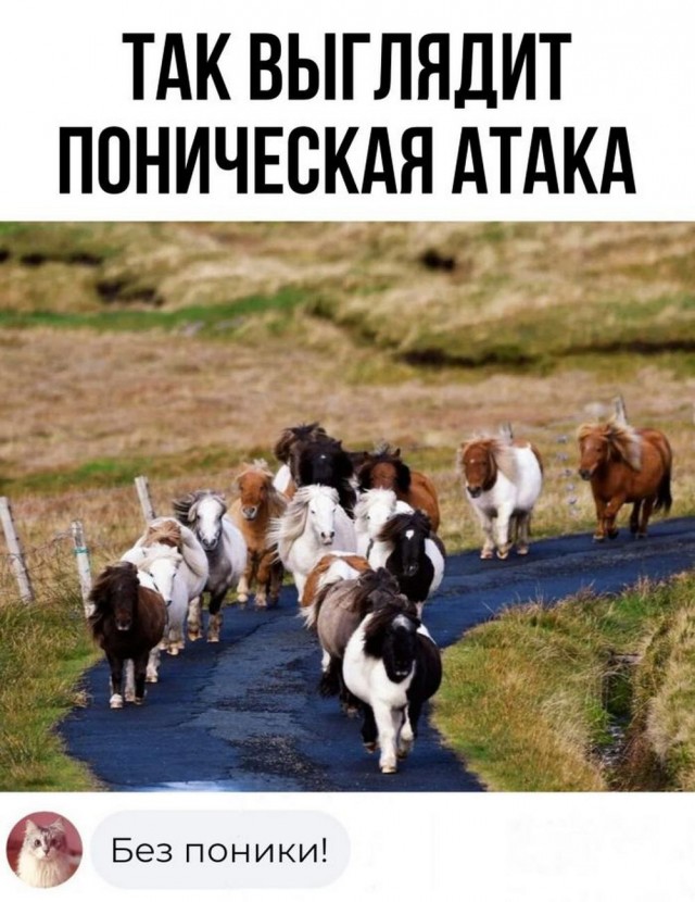 Нуштош 25.10.2024