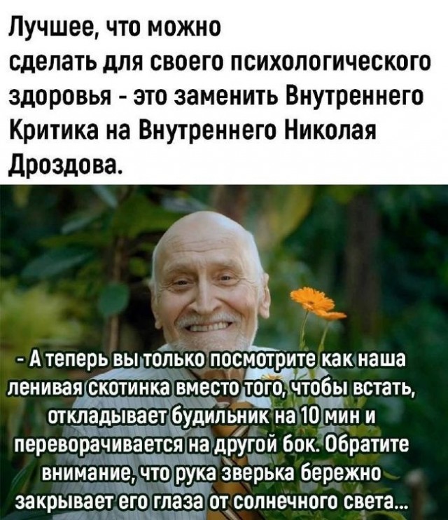 Прикольные и просто красивые картинки 24.12.2024