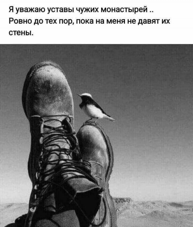 Прикольные и просто красивые картинки 10.01.2025