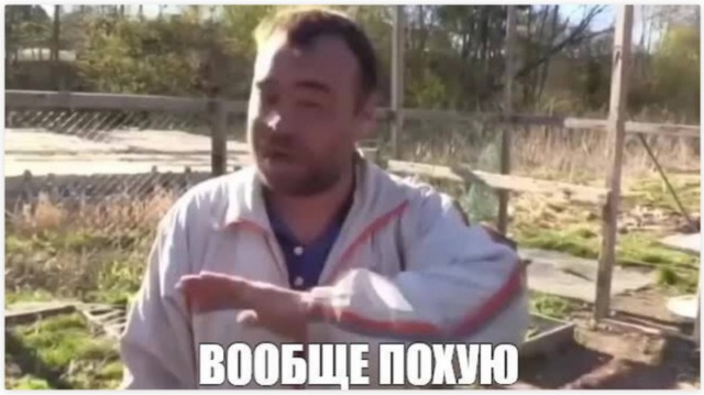 Вот что бывает, когда потратишься на игрушку для котэ
