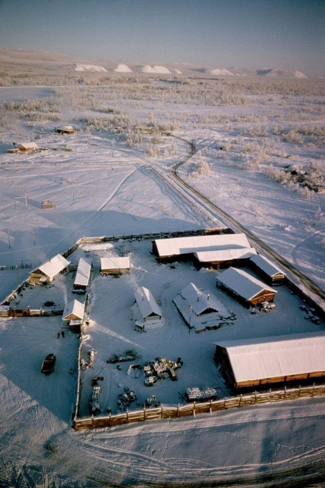 Back in USSR (26.02)