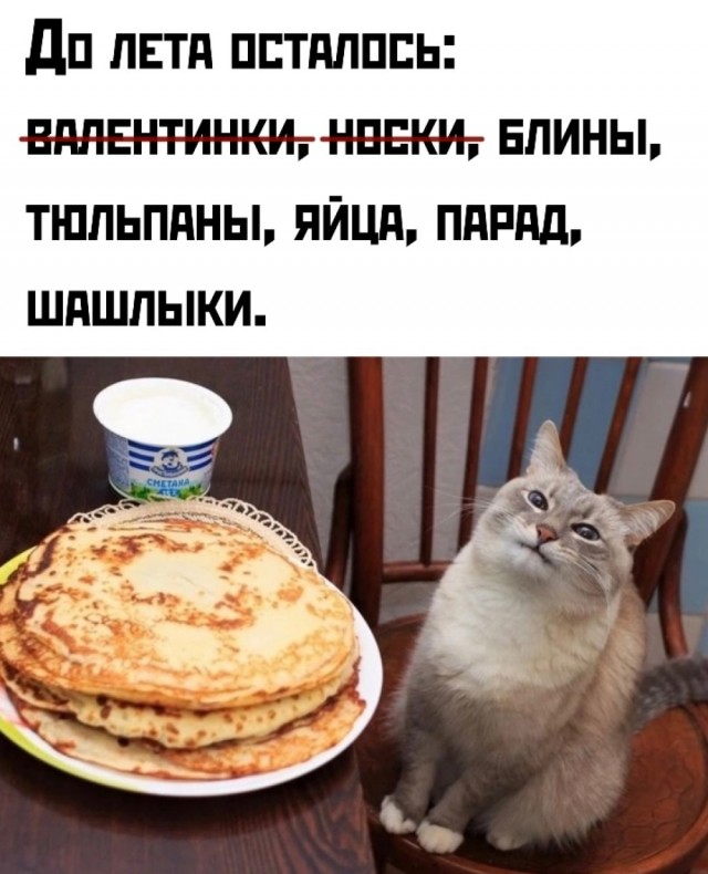Так себе картинки 27.02.25