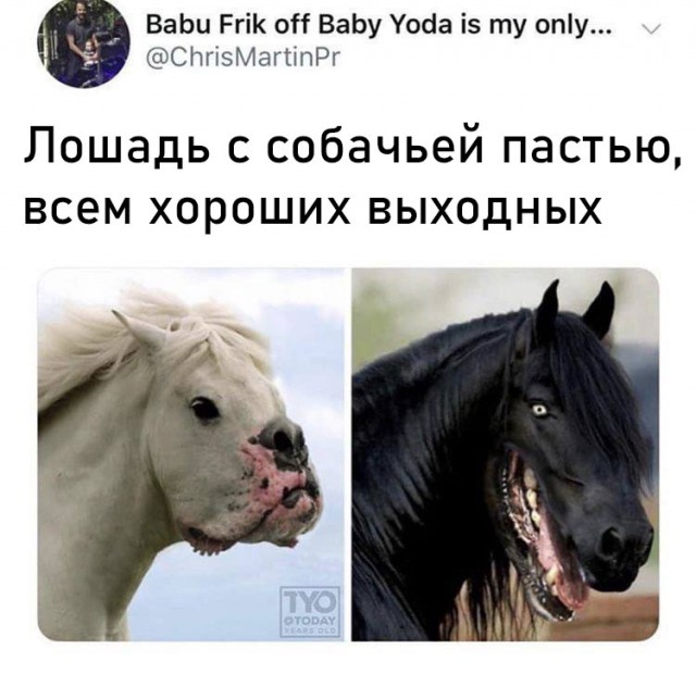 Завалялось тут случайно немного забавных картинок