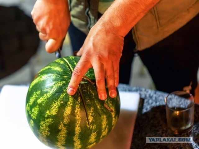 Как съесть июньский арбуз и не проснуться в реанимации: инструкция от бывалых