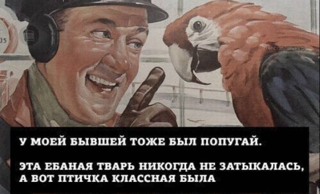 Весёлый полтишок 08.07.25