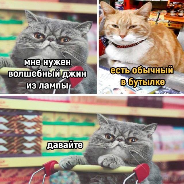 Картинки для деградации-5 (разной степени свежести)