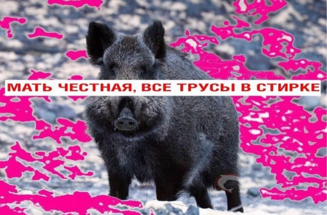 Веселое настроение в картинках (04.08.2025)