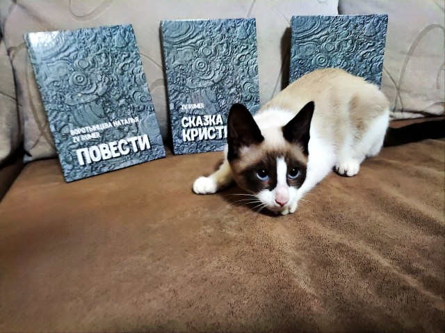 Книга ПОВЕСТИ