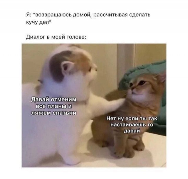 Так себе картинки 02.10.25