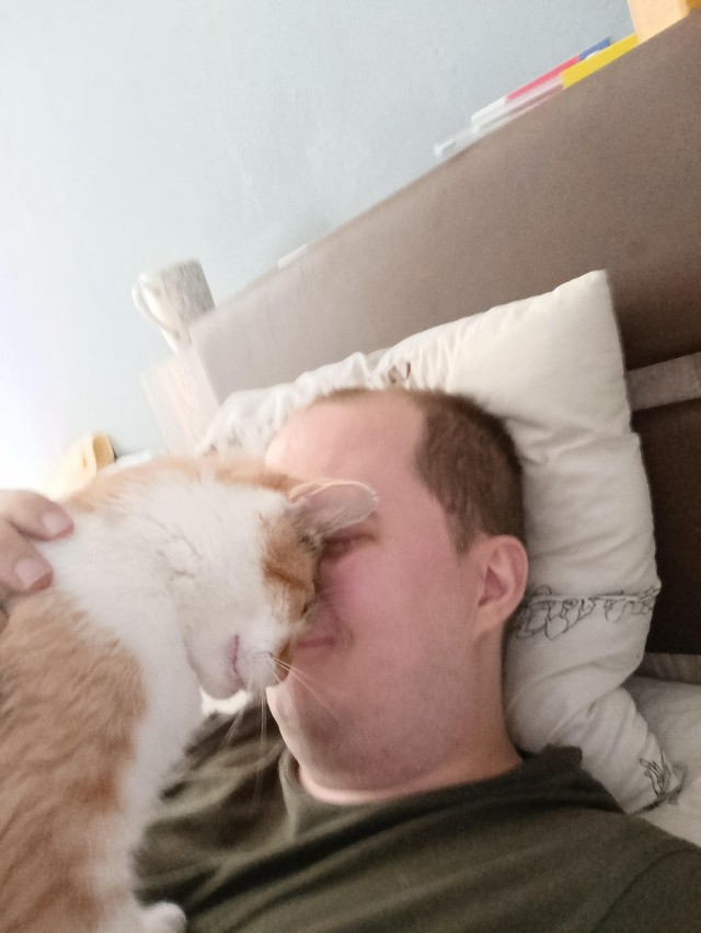 Мужчина поймал любимую кошку через год после пропажи, она в тот же день вспомнила его, дом и свои игрушки