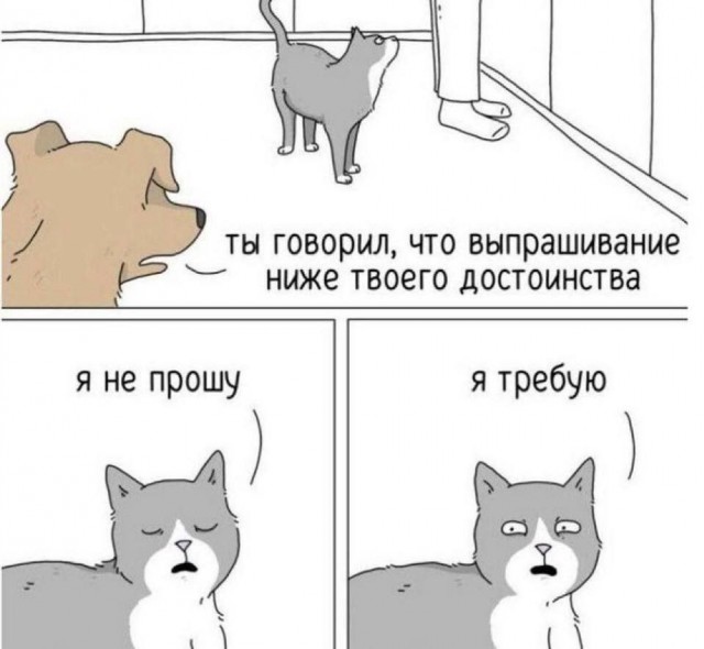 Веселые картинки в понедельник (20/10)