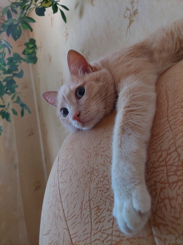 Что-то в глаз попало
