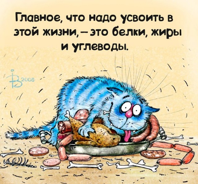 Прикольные и просто красивые картинки 07.11.2025