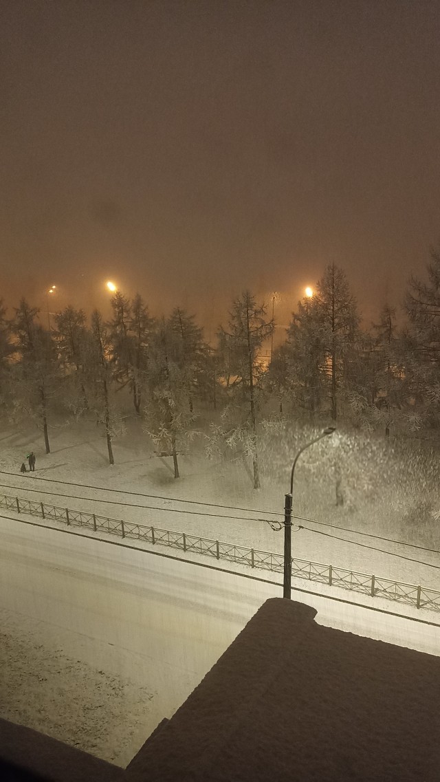 В Питере выпал снег