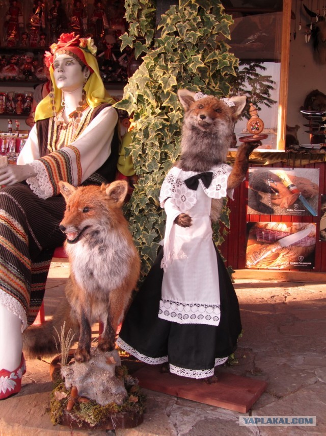 Летний отдых в Болгарии