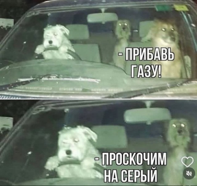 Картинки для деградации 237 (разной степени свежести)