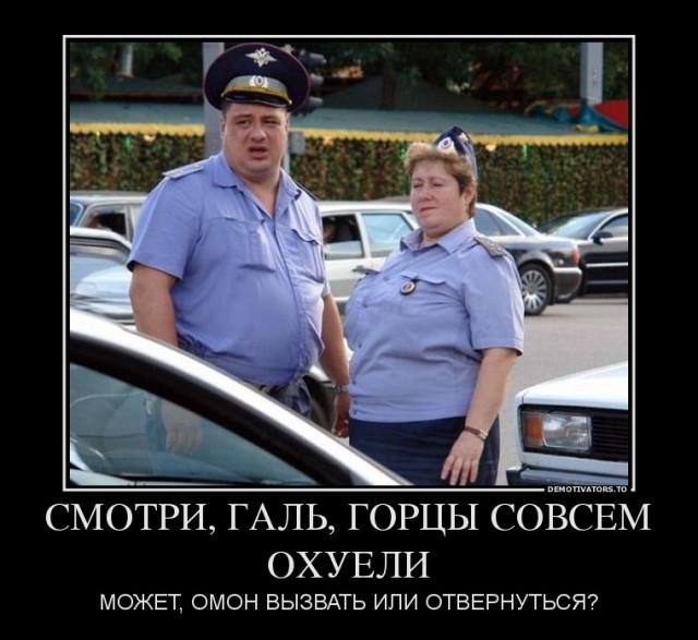 Кавказцев запретили брать без ОМОНа