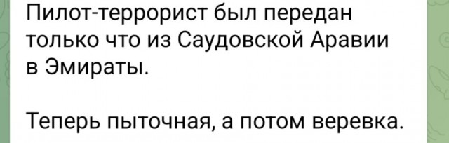 Саудиты всё же отдали второго пилота
