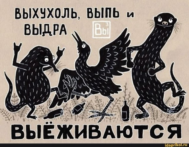 Русская выхухоль.