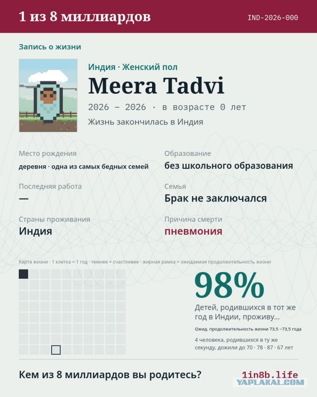 Симулятор чужой жизни