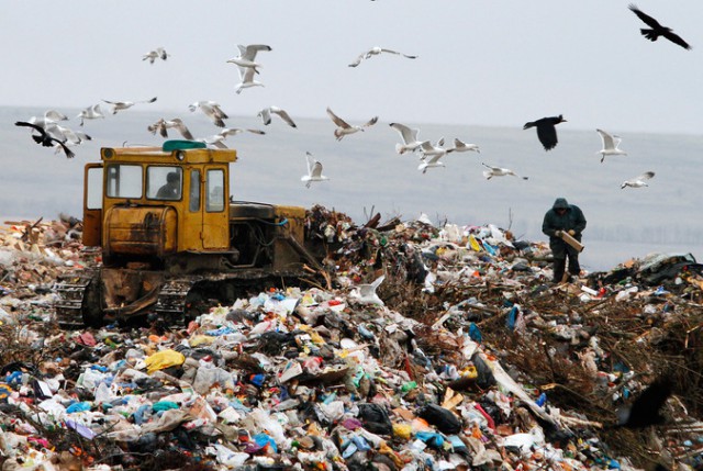 20 фактов о вреде пластика