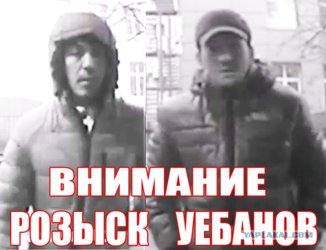 Розыск!