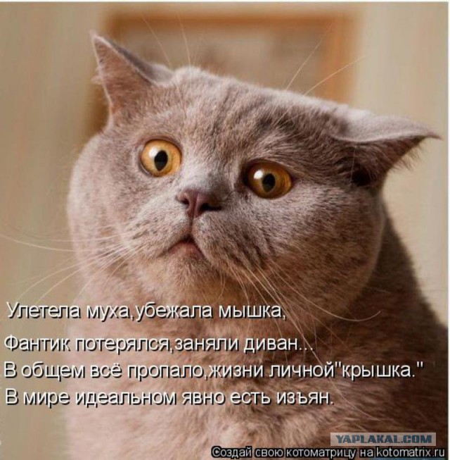 Добряки, плюсующие всех подряд