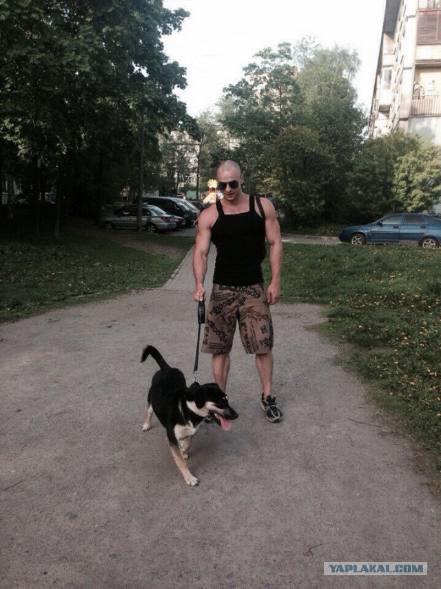 Комок счастья. Спасибо тебе, что вылечила меня..