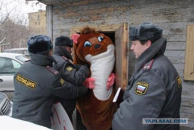 Cмешные баяны