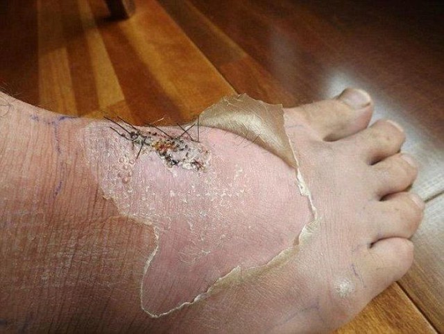 Экзотический животный мир Австралии