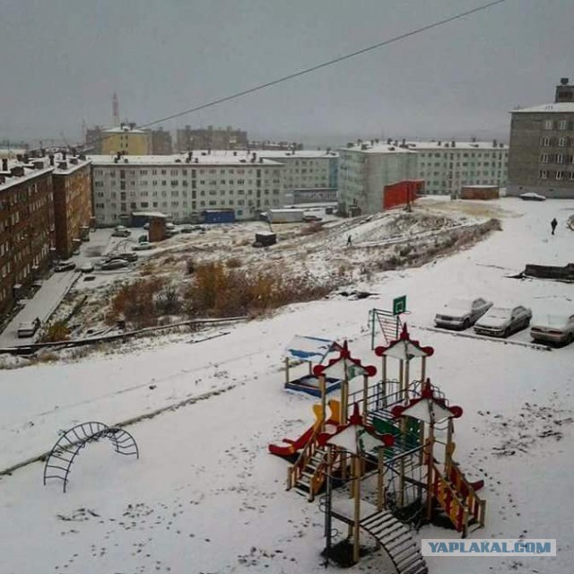 Каждый третий алкоголик