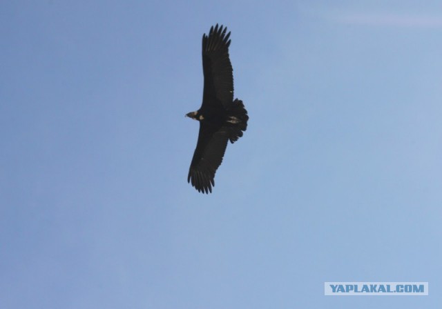 Отчет о путешествии в  Перу