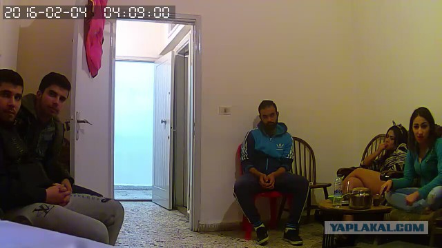 За что я люблю китайцев