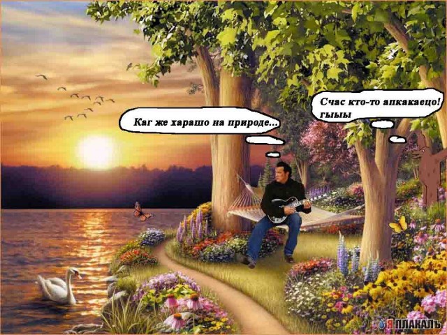 Фотожаба: Стивен Сигал