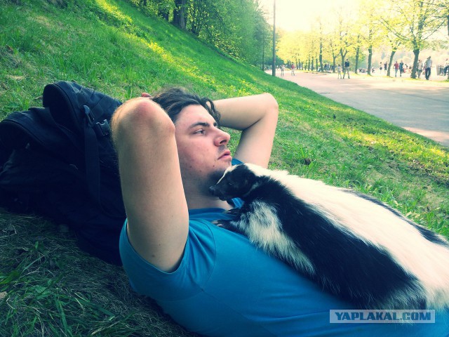 Моменты, заставляющие меня верить в человечество...