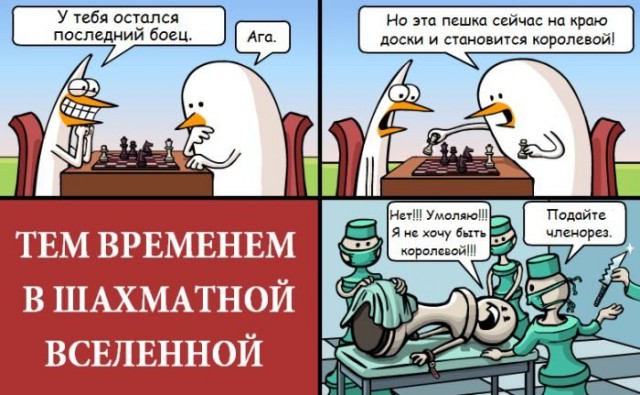 Шахматы - это круто!