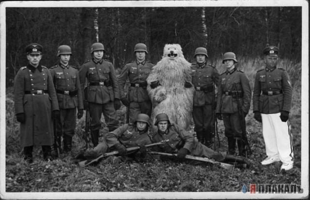 Фотожаба: Свидетель из Фрязино
