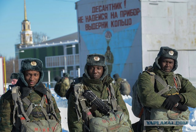 День десантника