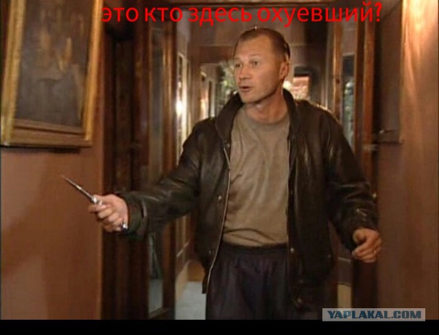 Узбагойся, гусыня!