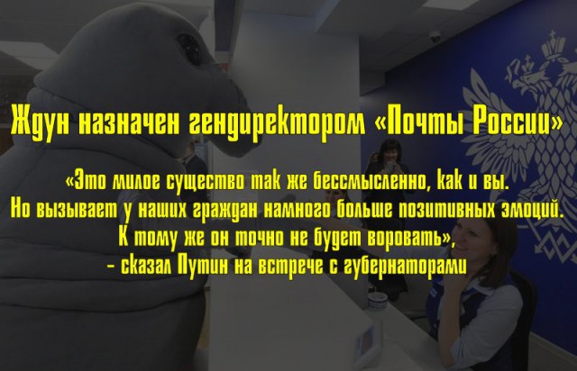Подборка картинок