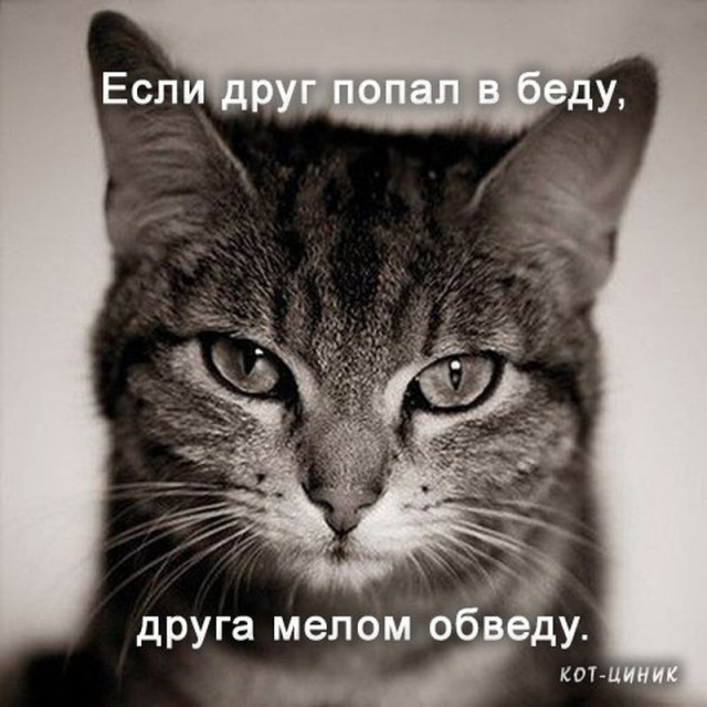 Не очень светлый и абсурдный юмор