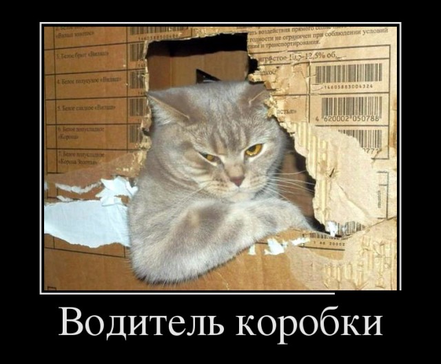 Gятничная подборка школьной наркомании