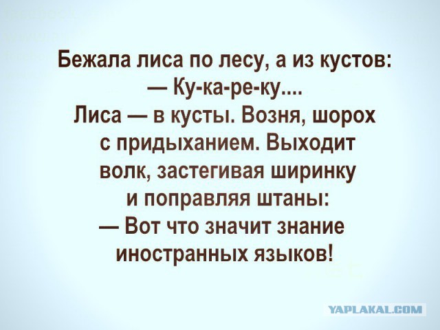 Юмор не для тех...