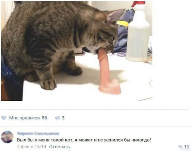 Просто юмор 11